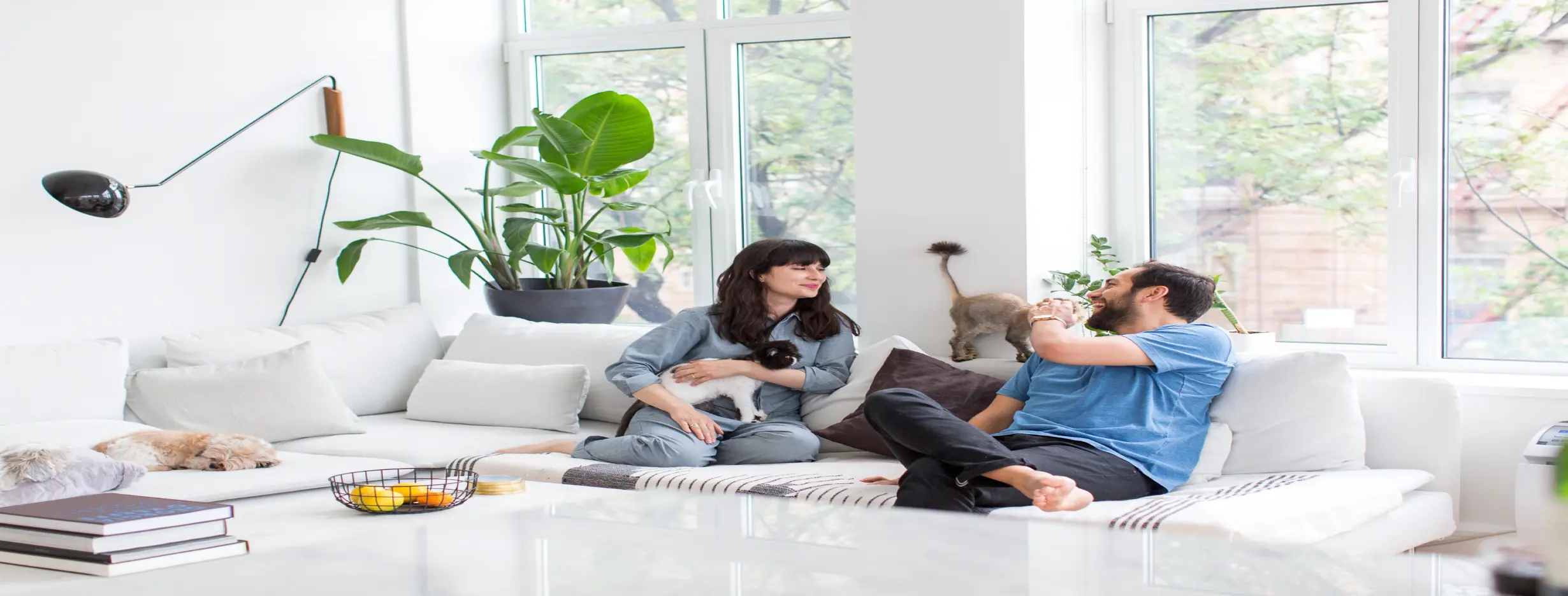 Image for Affordable Living